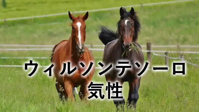 ウィルソンテソーロの気性を解説するアイキャッチ画像