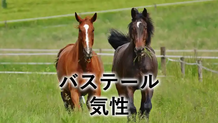 バステールの気性を解説するアイキャッチ画像。
