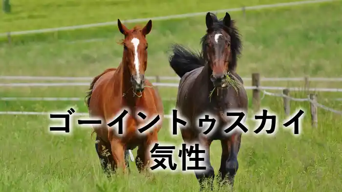 ゴーイントゥスカイの気性を解説する2頭の馬のアイキャッチ画像