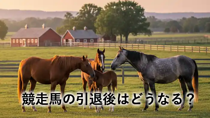 競走馬の引退後はどうなる？セカンドキャリアや功労馬をイメージした牧場の風景