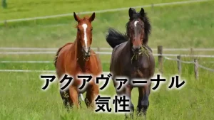 アクアヴァーナルの気性記事アイキャッチ画像