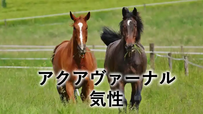 アクアヴァーナルの気性記事アイキャッチ画像