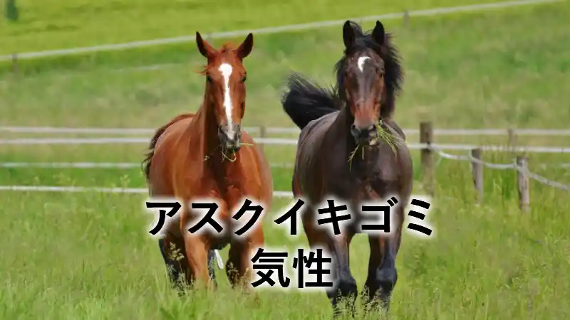 アスクイキゴミの気性を解説する記事のアイキャッチ画像