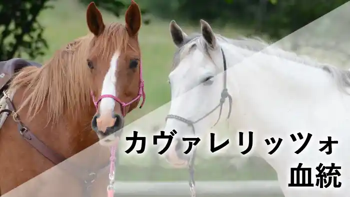 2頭の馬と「カヴァレリッツォ 血統」の文字