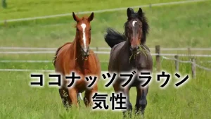 ココナッツブラウンの気性を紹介する記事のアイキャッチ画像