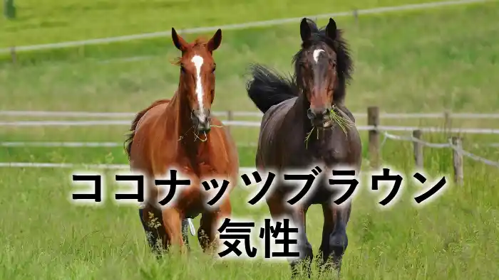 ココナッツブラウンの気性を紹介する記事のアイキャッチ画像