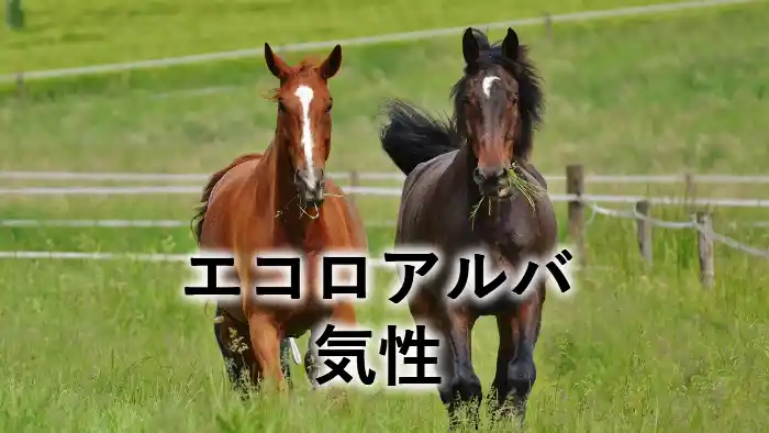 エコロアルバの気性を紹介するアイキャッチ画像