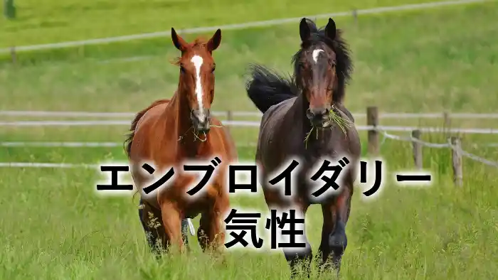 エンブロイダリーの気性をイメージした2頭の馬