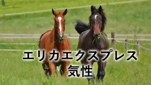エリカエクスプレスの気性を紹介する記事のアイキャッチ画像