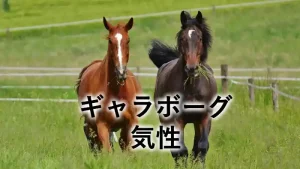 牧草地を歩く2頭の馬と「ギャラボーグ 気性」の文字