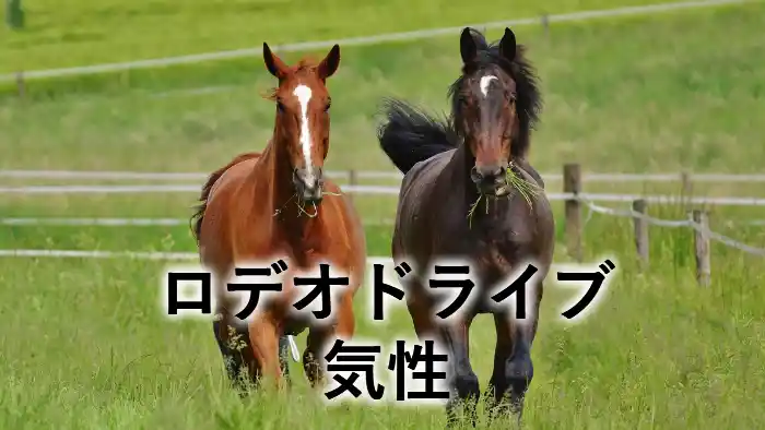 ロデオドライブの気性を紹介するアイキャッチ画像