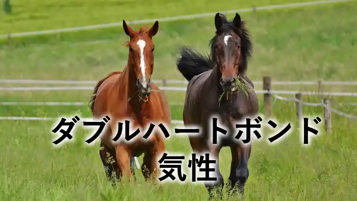 ダブルハートボンドの気性をイメージした牧場を走る2頭の馬