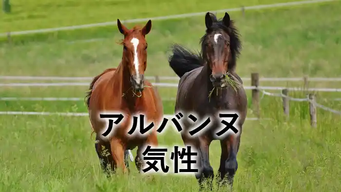 アルバンヌの気性を紹介する記事のアイキャッチ画像