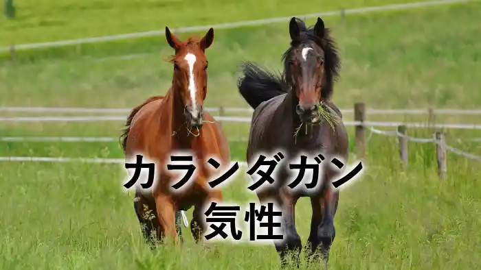 「カランダガン 気性」と書かれた、草原を走る2頭の馬のアイキャッチ画像