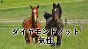 ダイヤモンドノットの気性を紹介するアイキャッチ画像