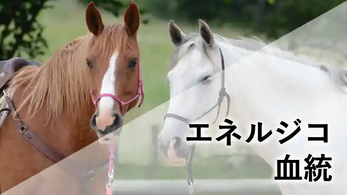 エネルジコの血統をイメージした2頭の馬