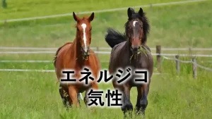 エネルジコの気性をイメージした草原を走る2頭の馬