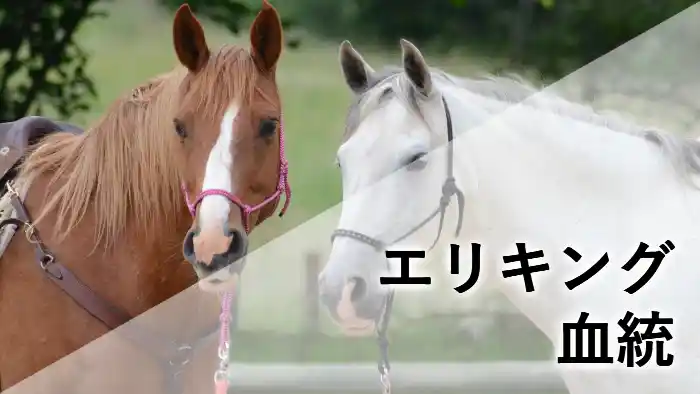 エリキングの血統を紹介するアイキャッチ画像