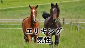 エリキングの気性を紹介するアイキャッチ画像