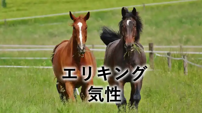 エリキングの気性を紹介するアイキャッチ画像