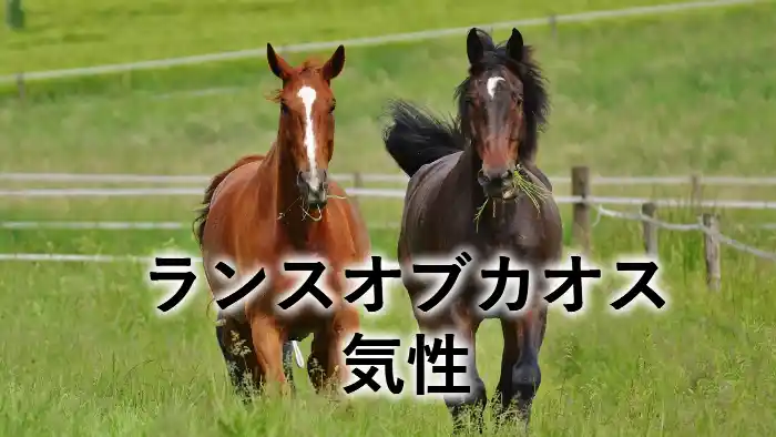 ランスオブカオスの気性を紹介するアイキャッチ画像