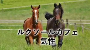 ルクソールカフェの気性を紹介する記事のアイキャッチ画像