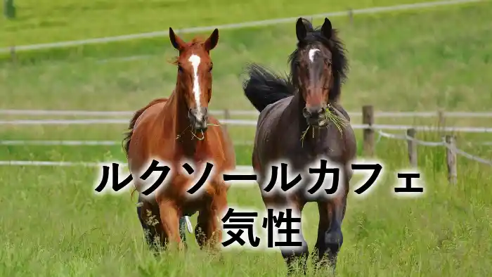 ルクソールカフェの気性を紹介する記事のアイキャッチ画像