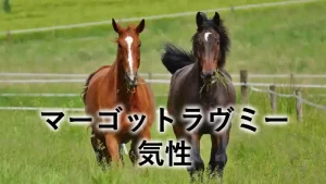 マーゴットラヴミーの気性を紹介するアイキャッチ画像