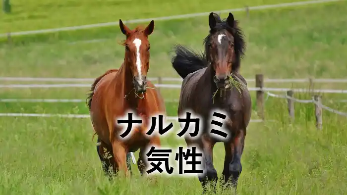 ナルカミの気性を紹介するアイキャッチ画像|牧場で並ぶ2頭の競走馬