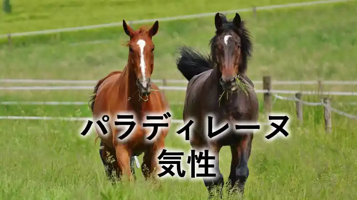 草原を走る2頭の馬と「パラディレーヌ 気性」の文字が入ったアイキャッチ画像