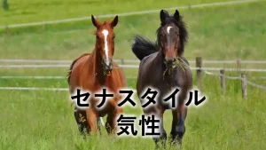 セナスタイルの気性を紹介するアイキャッチ画像
