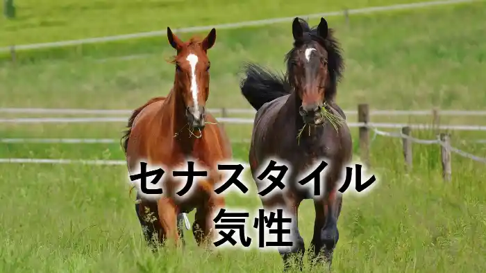 セナスタイルの気性を紹介するアイキャッチ画像