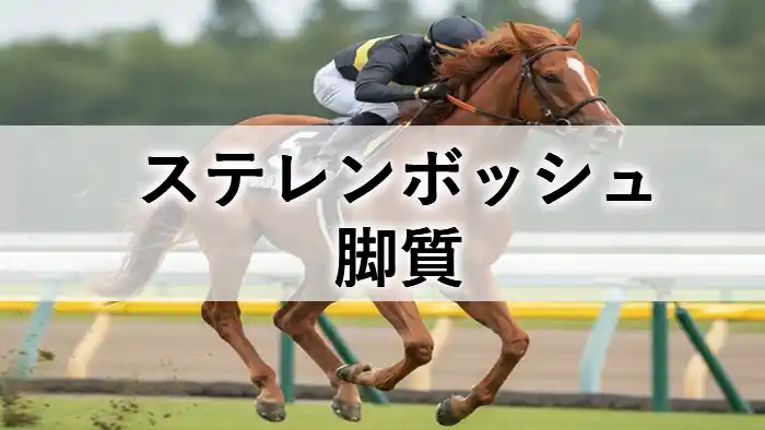競走馬が騎手を乗せて走る様子と「ステレンボッシュ 脚質」の文字
