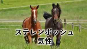 草地を走る2頭の馬と「ステレンボッシュ 気性」の文字