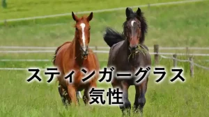 スティンガーグラスの気性を紹介する記事のアイキャッチ画像