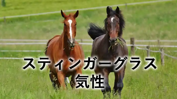 スティンガーグラスの気性を紹介する記事のアイキャッチ画像