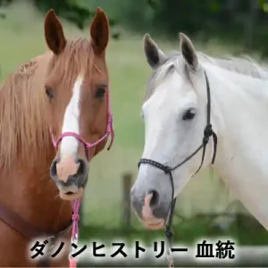 栗毛と白毛に見える2頭の馬が並ぶ「ダノンヒストリー 血統」のアイキャッチ画像