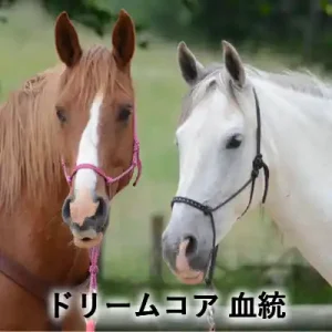 茶色の馬と白い馬が並び、「ドリームコア 血統」と書かれたアイキャッチ画像