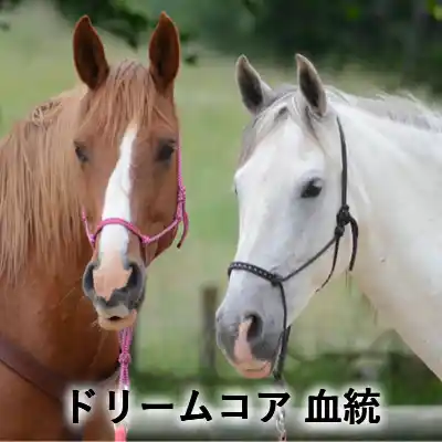茶色の馬と白い馬が並び、「ドリームコア 血統」と書かれたアイキャッチ画像