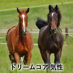 緑の牧草地に並ぶ茶色と黒鹿毛の2頭の馬と「ドリームコア 気性」の文字が入ったアイキャッチ画像