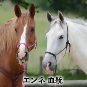 茶色い馬と白い馬が並んだイラストに「エンネ 血統」の文字を入れたアイキャッチ画像