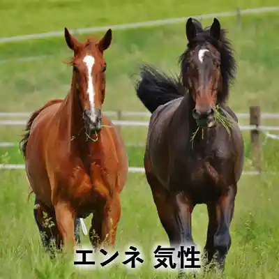 草原を並んで歩く茶色い馬と黒鹿毛の馬に「エンネ 気性」の文字を入れたアイキャッチ画像