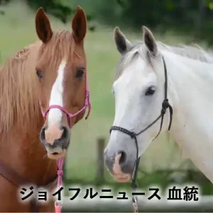 ジョイフルニュースの血統記事のアイキャッチ画像。栗毛と白毛の2頭の馬が並び、「ジョイフルニュース 血統」と書かれている