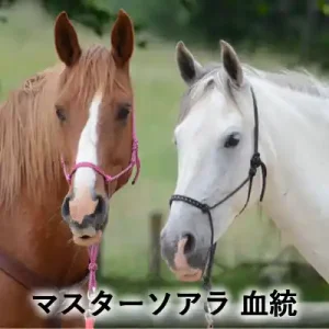 牧草地で並ぶ栗毛と白い馬の2頭。「マスターソアラ 血統」の文字入りアイキャッチ画像