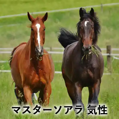 牧草地で並ぶ栗毛と黒鹿毛の2頭の馬。「マスターソアラ 気性」の文字入りアイキャッチ画像