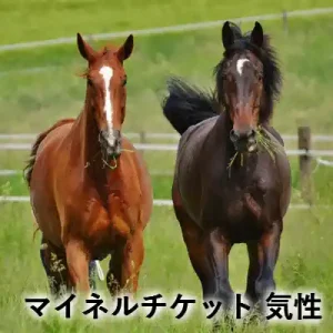 牧草地に並ぶ茶色と黒っぽい毛色の2頭の馬。「マイネルチケット 気性」の文字入りアイキャッチ画像。