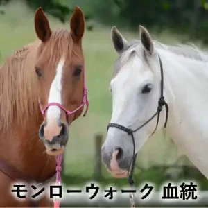 草地で並ぶ栗毛と白毛の2頭の馬。「モンローウォーク 血統」と書かれたアイキャッチ画像。