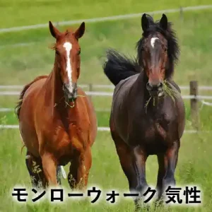 草地に立つ栗毛と青鹿毛風の2頭の馬。「モンローウォーク 気性」と書かれたアイキャッチ画像。