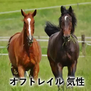 緑の牧草地に並ぶ2頭の馬と「オフトレイル 気性」の文字が入ったアイキャッチ画像