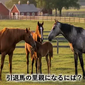 引退馬の里親になるには？牧場で過ごす4頭の馬とフォスターペアレント制度を紹介するアイキャッチ画像